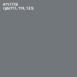 #71777B - Boulder Color Image