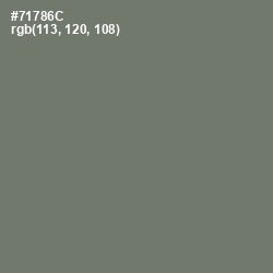 #71786C - Limed Ash Color Image