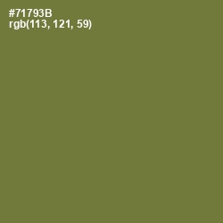 #71793B - Pesto Color Image