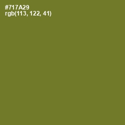 #717A29 - Crete Color Image