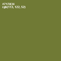 #717A34 - Pesto Color Image