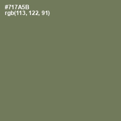 #717A5B - Crocodile Color Image