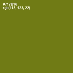 #717B16 - Olivetone Color Image