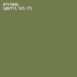 #717B4D - Go Ben Color Image