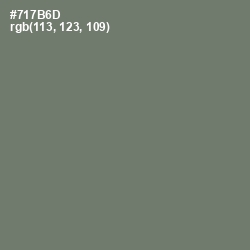 #717B6D - Limed Ash Color Image