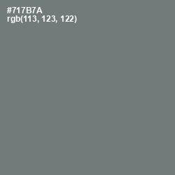 #717B7A - Boulder Color Image