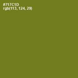 #717C1D - Olivetone Color Image