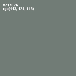 #717C76 - Boulder Color Image