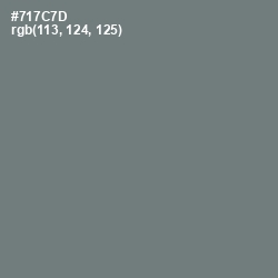 #717C7D - Boulder Color Image