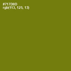 #717D0D - Olivetone Color Image