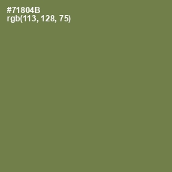 #71804B - Glade Green Color Image