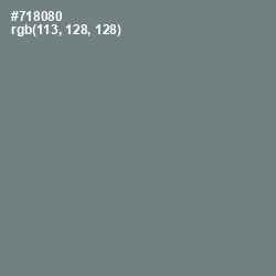 #718080 - Sirocco Color Image