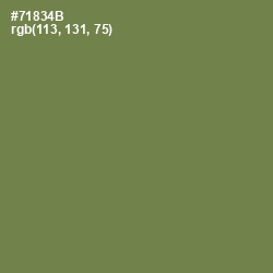 #71834B - Glade Green Color Image