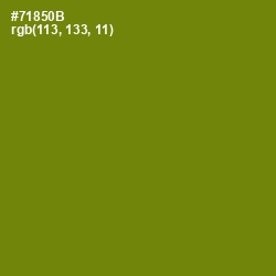 #71850B - Trendy Green Color Image