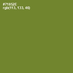 #71852E - Wasabi Color Image