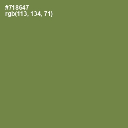 #718647 - Glade Green Color Image