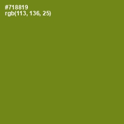 #718819 - Trendy Green Color Image