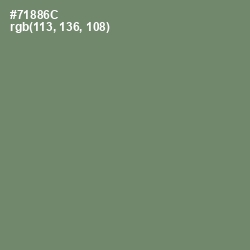 #71886C - Camouflage Green Color Image