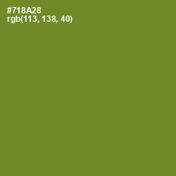 #718A28 - Wasabi Color Image