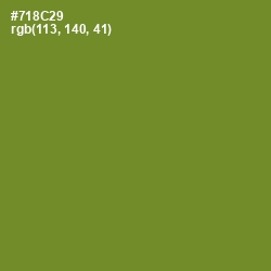 #718C29 - Wasabi Color Image