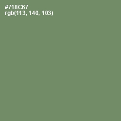 #718C67 - Camouflage Green Color Image