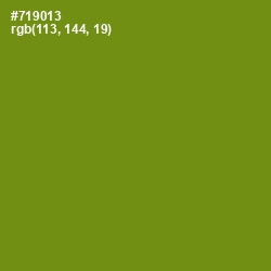 #719013 - Trendy Green Color Image