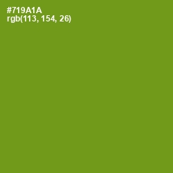 #719A1A - Trendy Green Color Image