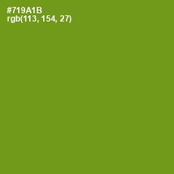 #719A1B - Trendy Green Color Image