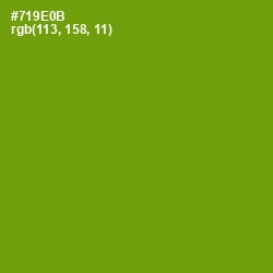 #719E0B - Limeade Color Image