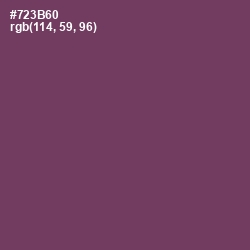 #723B60 - Cosmic Color Image