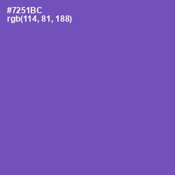#7251BC - Studio Color Image