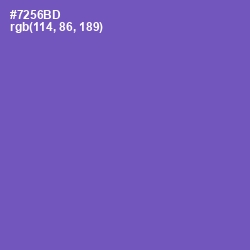 #7256BD - Blue Violet Color Image