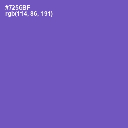 #7256BF - Blue Violet Color Image