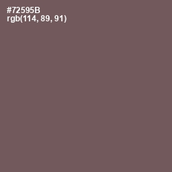 #72595B - Russett Color Image