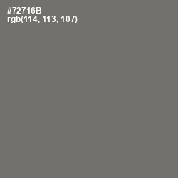 #72716B - Limed Ash Color Image