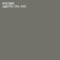 #72726B - Limed Ash Color Image