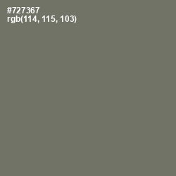 #727367 - Limed Ash Color Image
