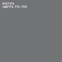 #727374 - Tapa Color Image