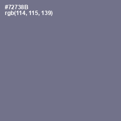 #72738B - Storm Gray Color Image