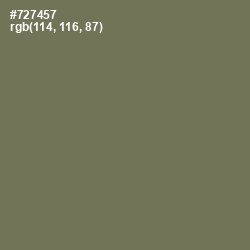 #727457 - Crocodile Color Image