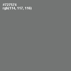 #727574 - Tapa Color Image