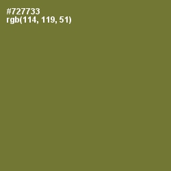 #727733 - Pesto Color Image