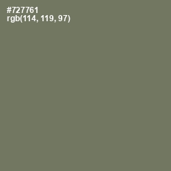 #727761 - Limed Ash Color Image