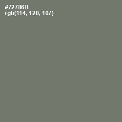 #72786B - Limed Ash Color Image