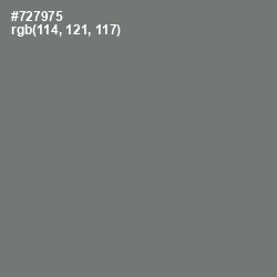 #727975 - Tapa Color Image