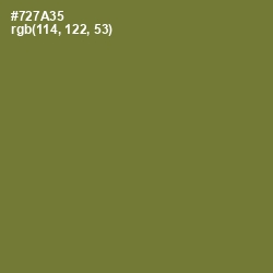 #727A35 - Pesto Color Image