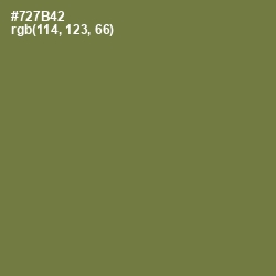 #727B42 - Go Ben Color Image