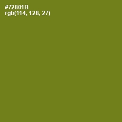 #72801B - Trendy Green Color Image