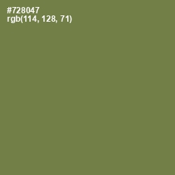 #728047 - Glade Green Color Image