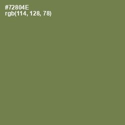 #72804E - Glade Green Color Image